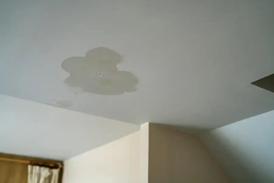A water stain spreading across a white drywall ceiling
